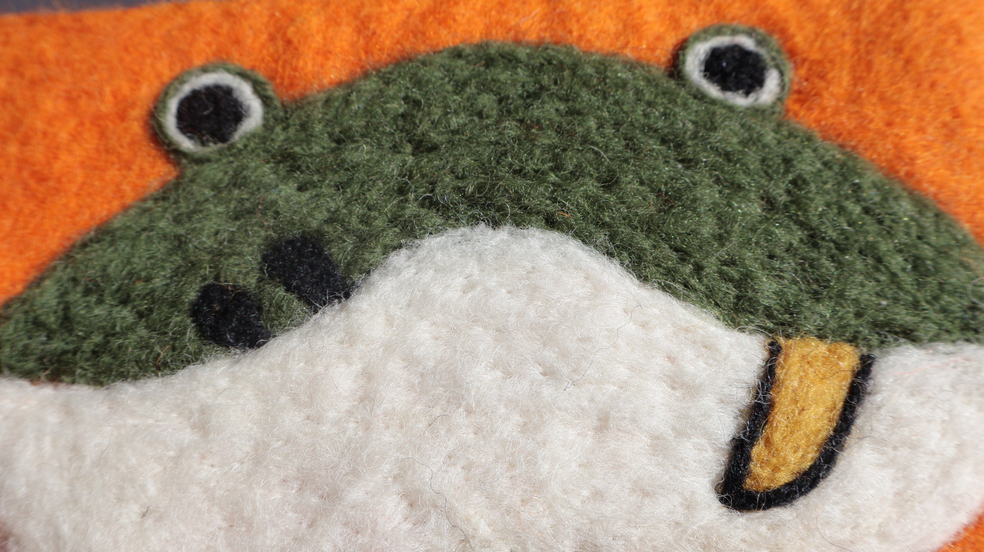 Handmade Wool Felt Frog Purse