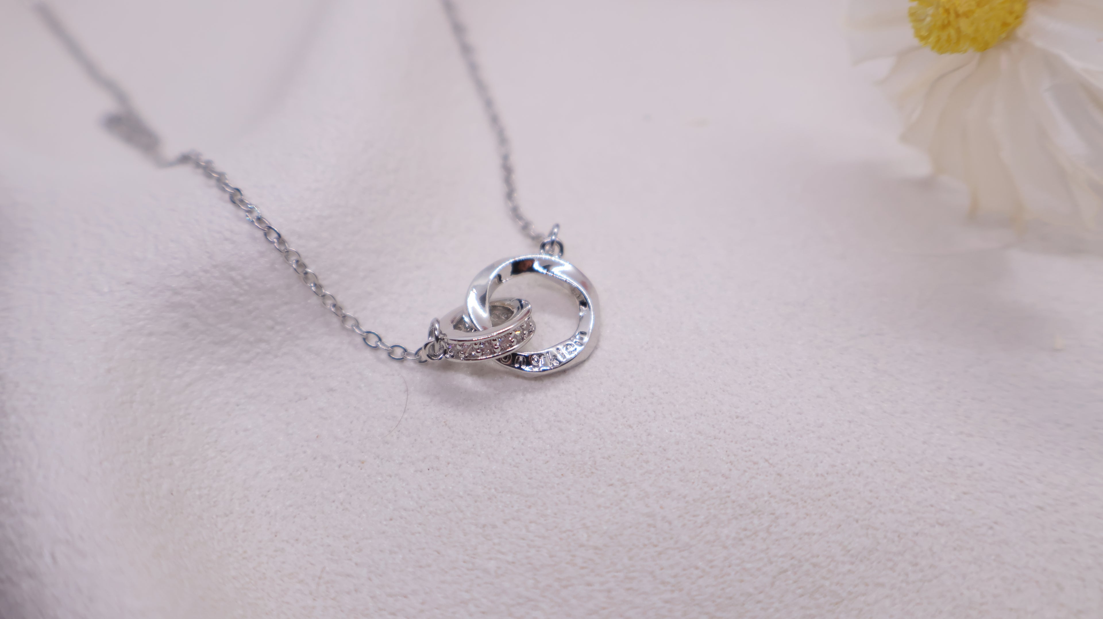 Stainless Steel Necklace - Interlocking Circles